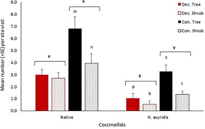 Ladybird communities in rural woodlands: Does an invader dominate?